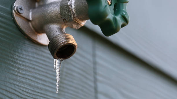 Best Sewer Line Repair  in Crowley Lake, CA